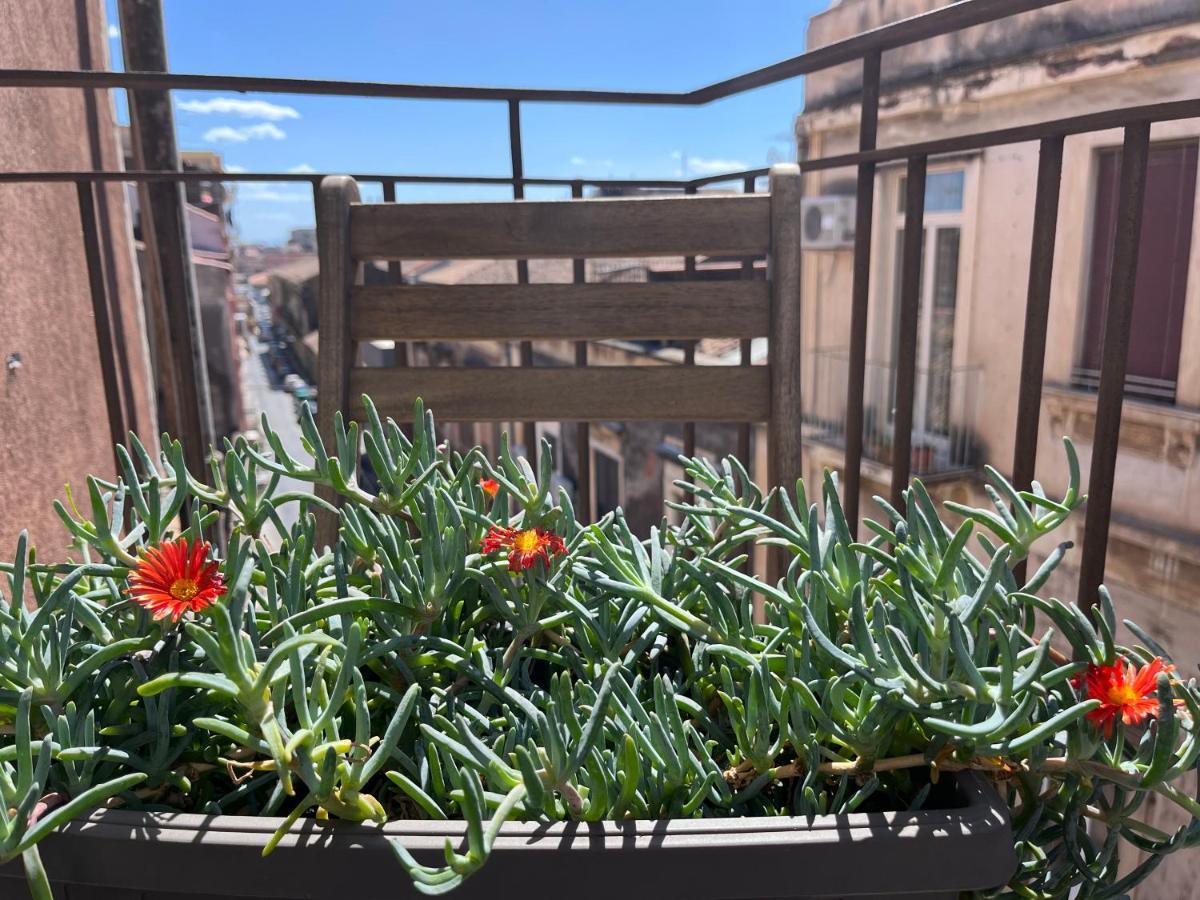 Mita Apartments Catania Eksteriør billede